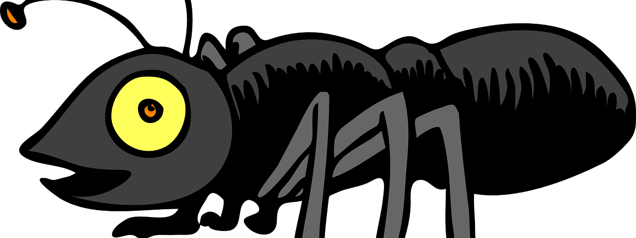 bug