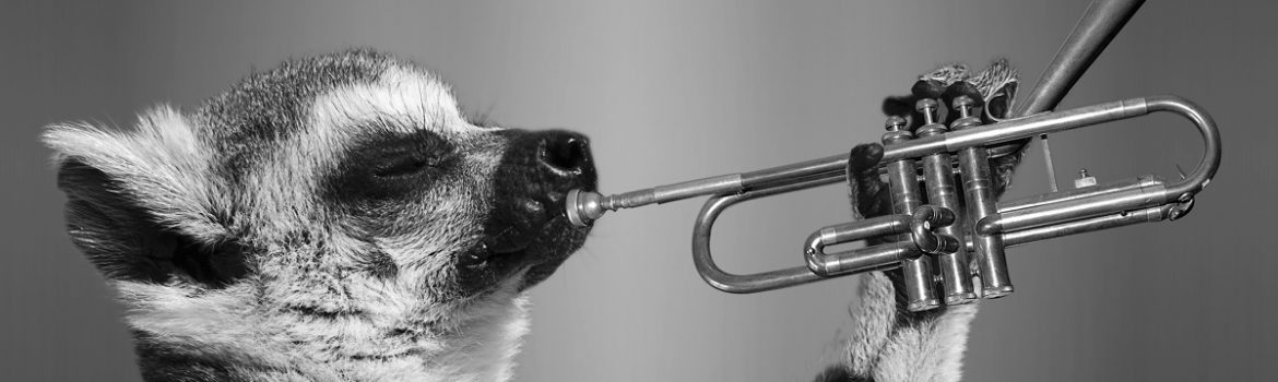 blow your own trumpet