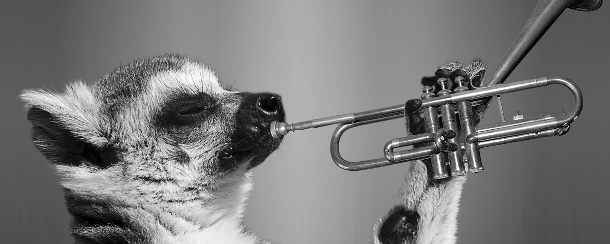 blow your own trumpet