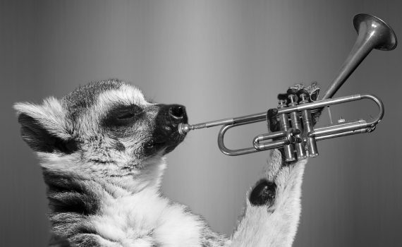 blow your own trumpet