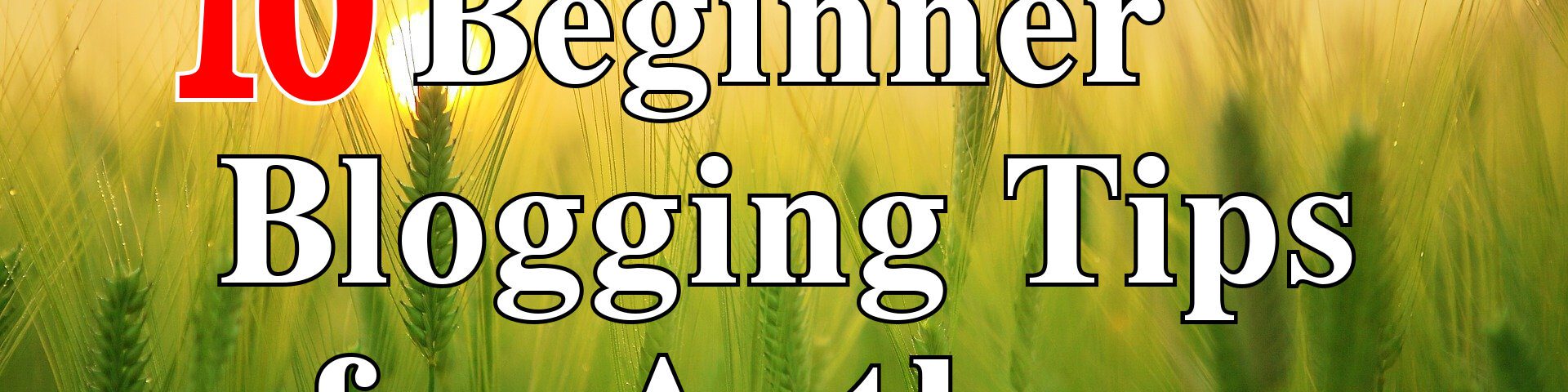 10 blogging tips for authors