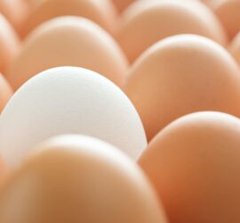 background of whole chicken eggs in rows