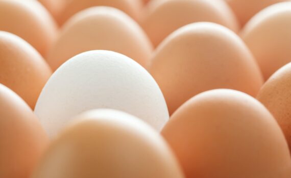 background of whole chicken eggs in rows
