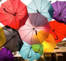 assorted color umbrellas