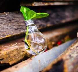 close up of beer bottles on wood