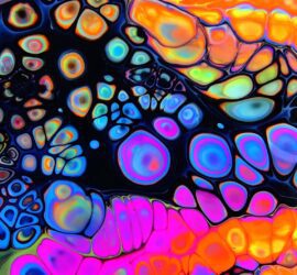 colorful abstract wallpaper