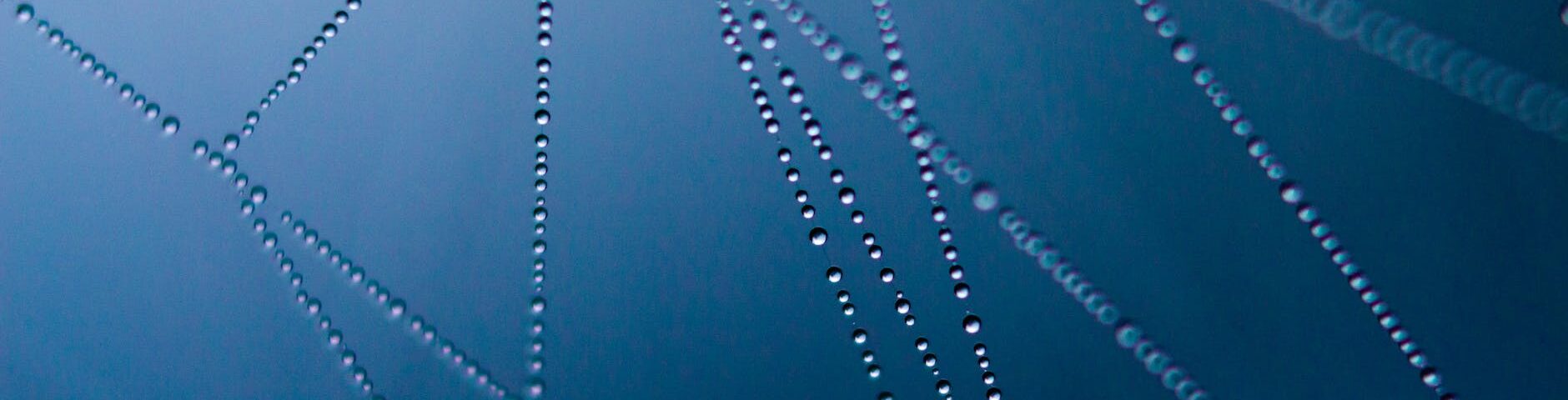 abstract art cobweb connection