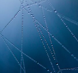 abstract art cobweb connection