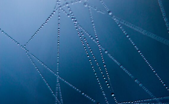 abstract art cobweb connection