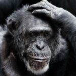 Profile picture of Charles Maxwell